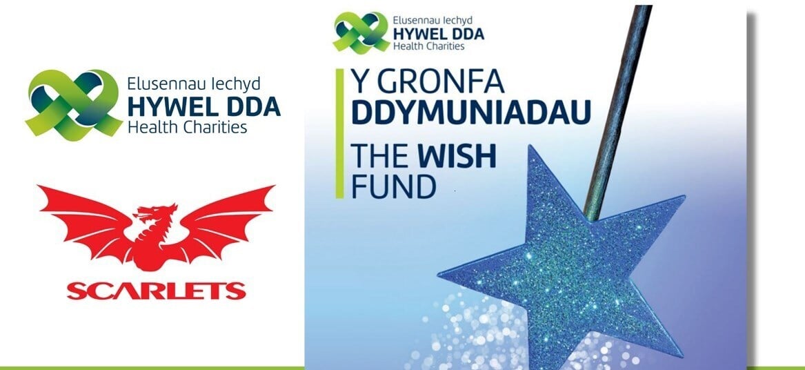 Y Gronfa Ddymuniadau - The Wish Fund